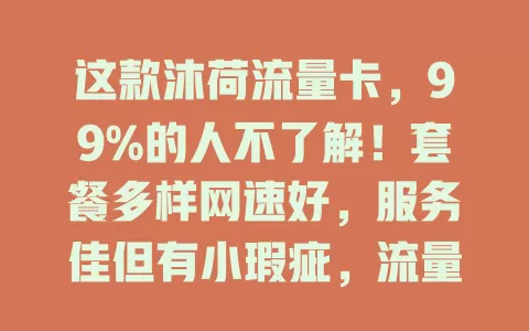 这款沐荷流量卡，99%的人不了解！套餐多样网速好，服务佳但有小瑕疵，流量焦虑者速来！