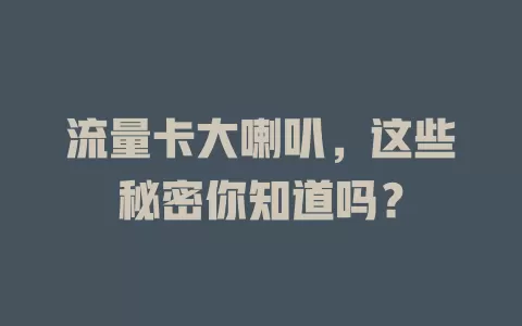 流量卡大喇叭，这些秘密你知道吗？