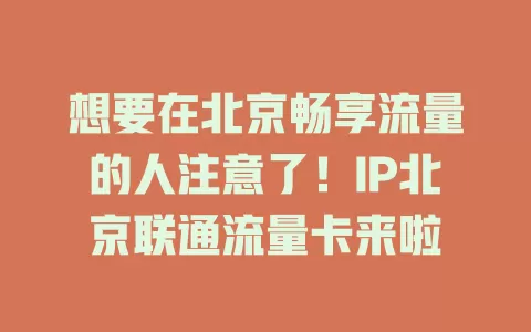 想要在北京畅享流量的人注意了！IP北京联通流量卡来啦