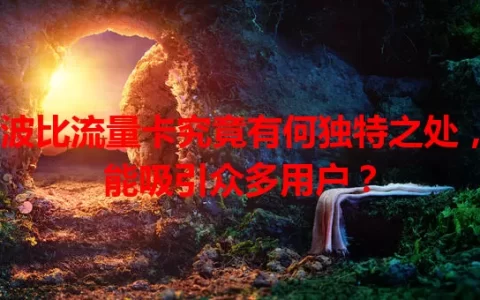 波比流量卡究竟有何独特之处，能吸引众多用户？