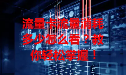 流量卡流量消耗多少怎么看?教你轻松掌握!
