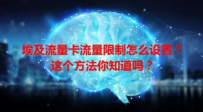 埃及流量卡流量限制怎么设置？这个方法你知道吗？