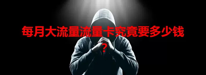 每月大流量流量卡究竟要多少钱?