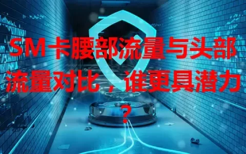SM卡腰部流量与头部流量对比，谁更具潜力？