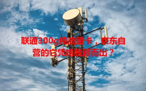 联通300g纯流量卡，京东自营的它凭啥脱颖而出？