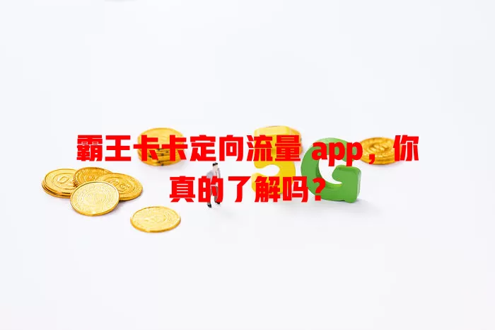 霸王卡卡定向流量 app,你真的了解吗?