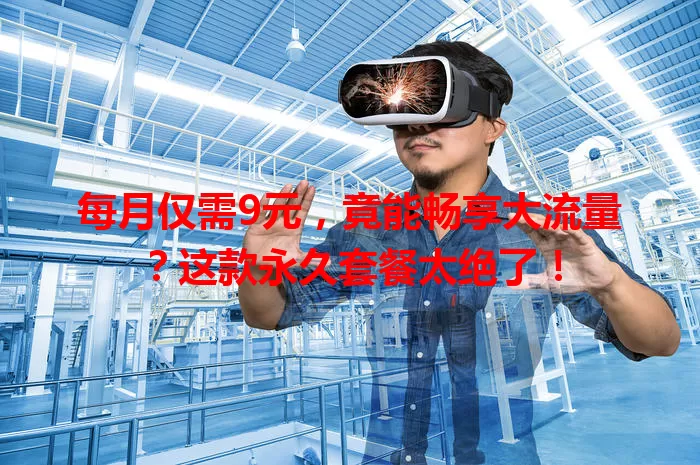 每月仅需9元,竟能畅享大流量?这款永久套餐太绝了!