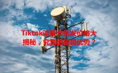 Tiktok流量卡批发价格大揭秘，究竟谁更具优势？