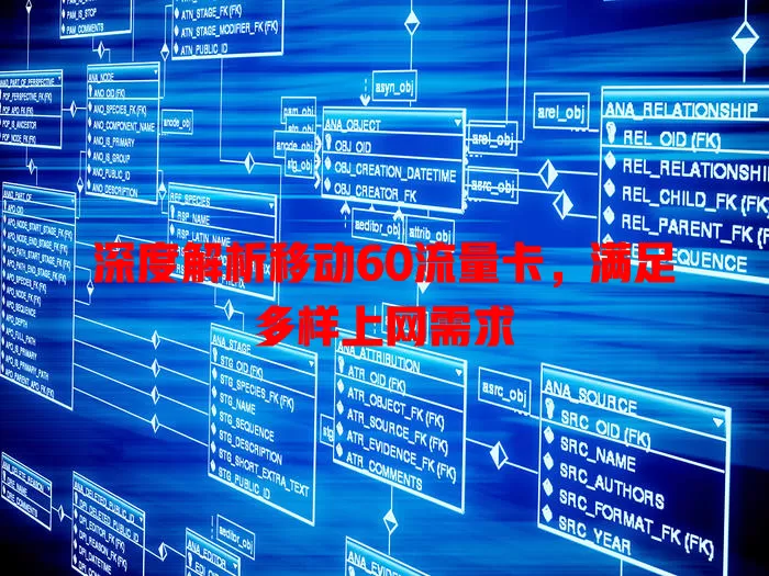 深度解析移动60流量卡,满足多样上网需求