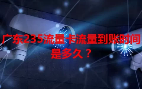 广东235流量卡流量到账时间是多久？