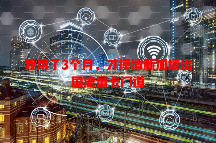 我用了3个月,才摸清新加坡出国流量卡门道