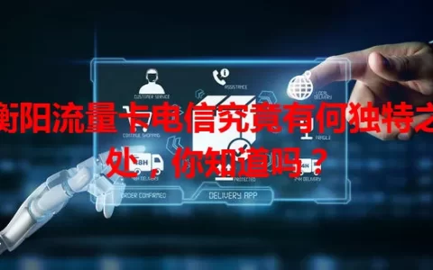 衡阳流量卡电信究竟有何独特之处，你知道吗？