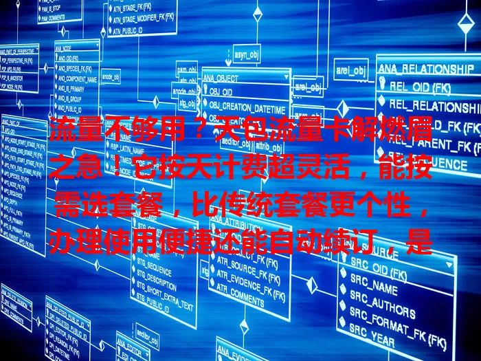 流量不够用?天包流量卡解燃眉之急!它按天计费超灵活,能按需选套餐,比传统套餐更个性,办理使用便捷还能自动续订,是流量难题的灵活便捷解决方案