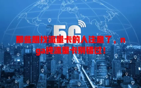 那些想找流量卡的人注意了，nga纯流量卡别错过！