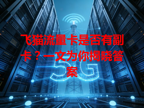 飞猫流量卡是否有副卡？一文为你揭晓答案