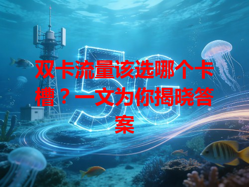 双卡流量该选哪个卡槽？一文为你揭晓答案
