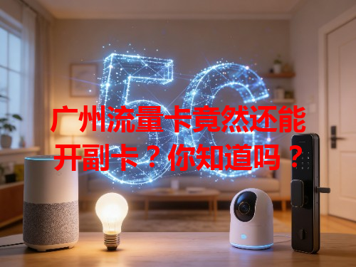 广州流量卡竟然还能开副卡？你知道吗？