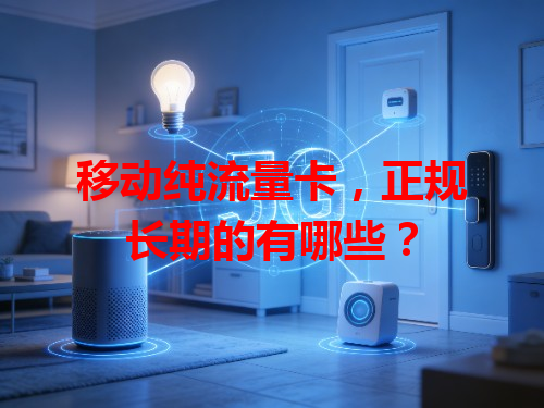 移动纯流量卡，正规长期的有哪些？