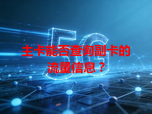 主卡能否查询副卡的流量信息？