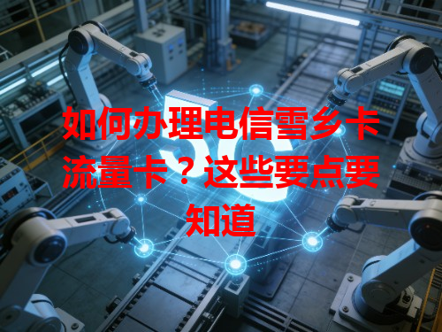 如何办理电信雪乡卡流量卡？这些要点要知道