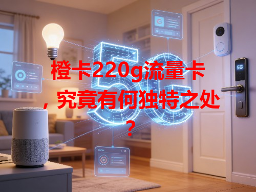 橙卡220g流量卡，究竟有何独特之处？
