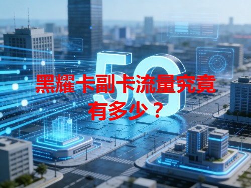 黑耀卡副卡流量究竟有多少？