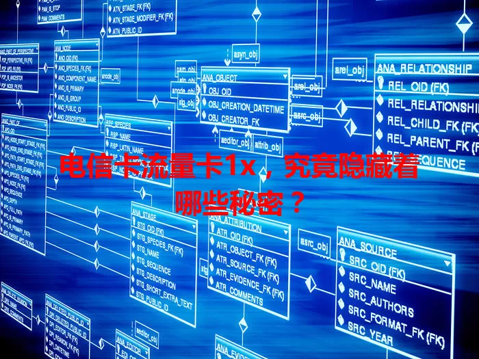 电信卡流量卡1x,究竟隐藏着哪些秘密?