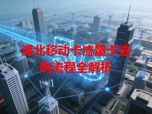 湖北移动卡流量卡选购流程全解析