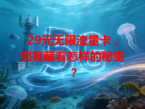 29元无限流量卡，究竟藏着怎样的秘密？