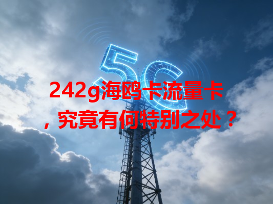 242g海鸥卡流量卡，究竟有何特别之处？