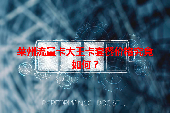 莱州流量卡大王卡套餐价格究竟如何？