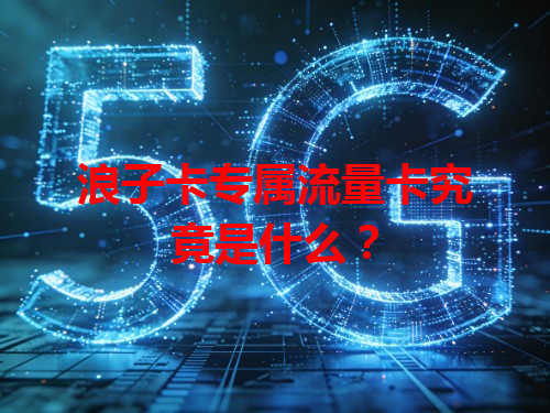 浪子卡专属流量卡究竟是什么？