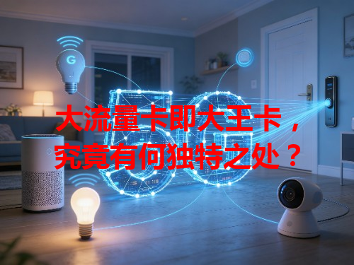大流量卡即大王卡，究竟有何独特之处？