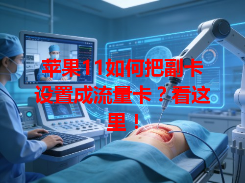 苹果11如何把副卡设置成流量卡？看这里！