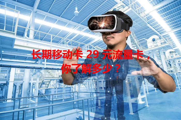 长期移动卡 29 元流量卡,你了解多少?