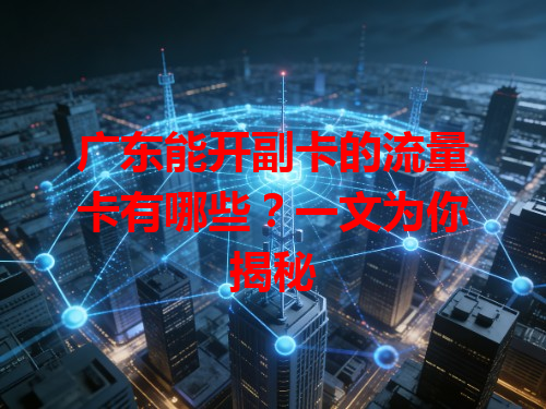 广东能开副卡的流量卡有哪些？一文为你揭秘