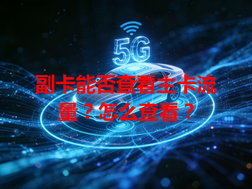副卡能否查看主卡流量？怎么查看？