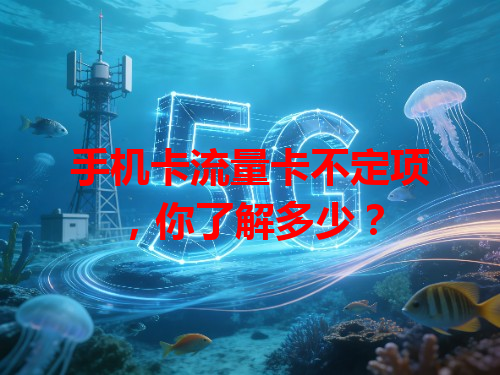 手机卡流量卡不定项，你了解多少？