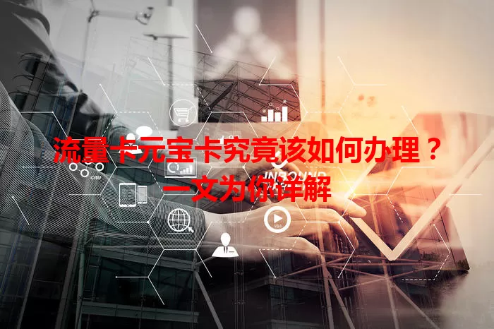 流量卡元宝卡究竟该如何办理?一文为你详解