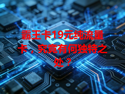 霸王卡19元纯流量卡，究竟有何独特之处？