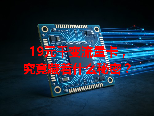19元千变流量卡，究竟藏着什么秘密？