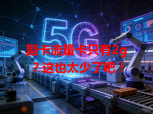 副卡流量卡只有2g？这也太少了吧！