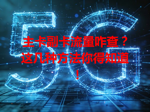 主卡副卡流量咋查？这几种方法你得知道！