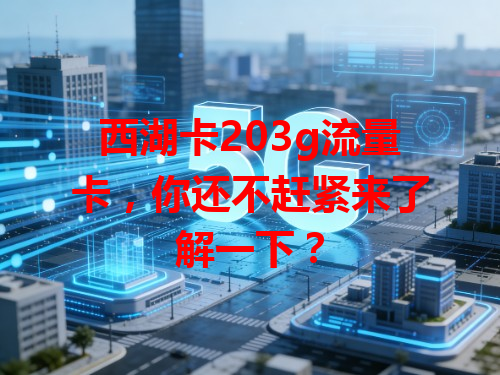西湖卡203g流量卡，你还不赶紧来了解一下？