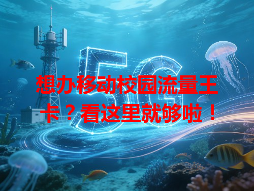 想办移动校园流量王卡？看这里就够啦！