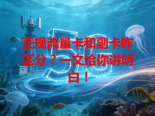 正规流量卡和副卡咋区分？一文给你讲明白！