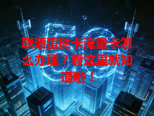 联通蛋挞卡流量卡怎么办理？看这里就知道啦！