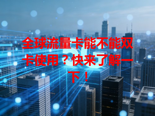 全球流量卡能不能双卡使用？快来了解一下！