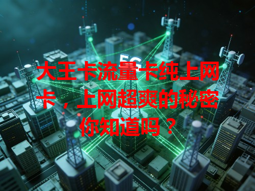 大王卡流量卡纯上网卡，上网超爽的秘密你知道吗？