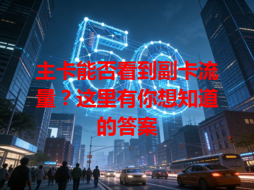 主卡能否看到副卡流量？这里有你想知道的答案
